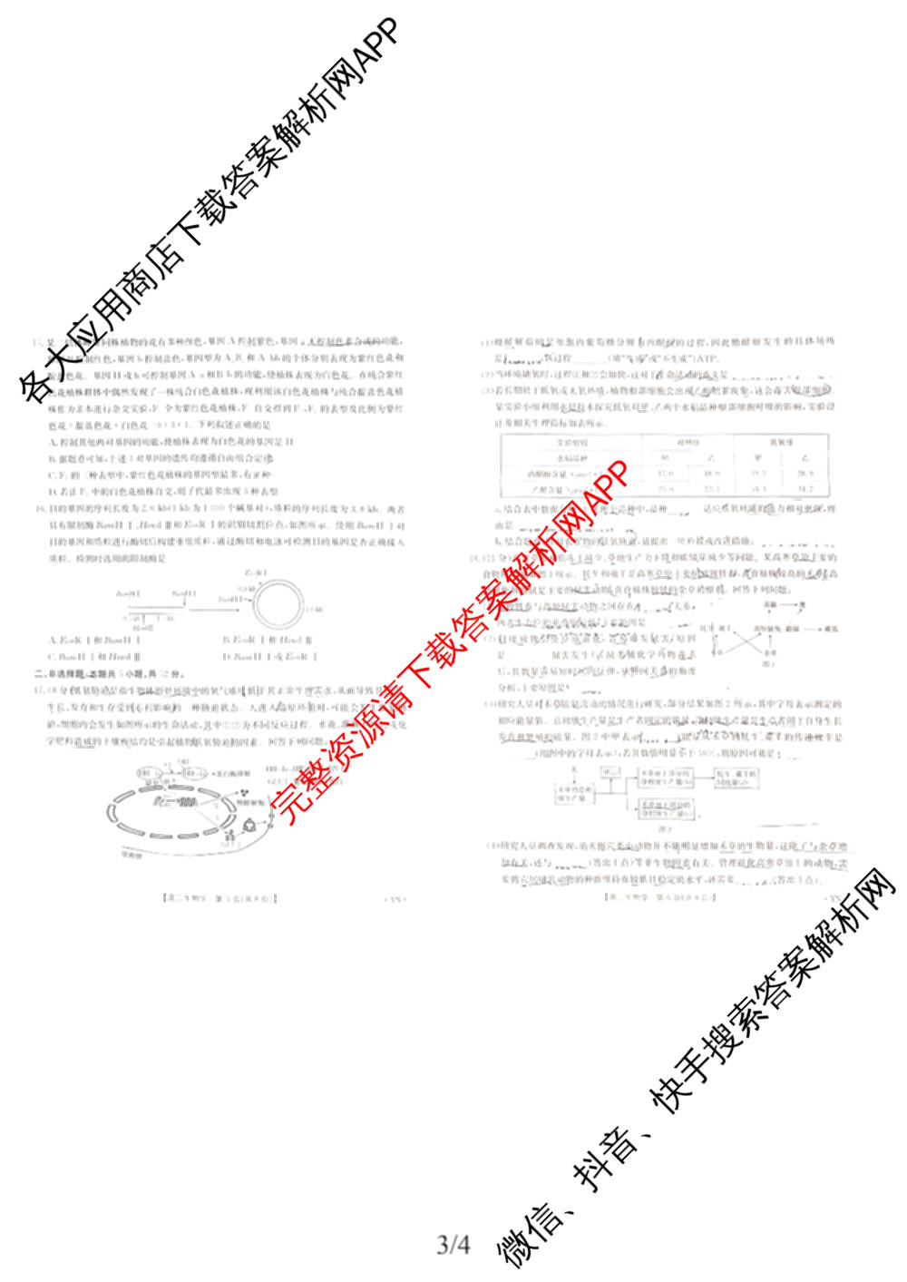 云南省2025-2026学年高三4月联考YN(4.7)试卷及答案汇总(已更新化学、地理、物理等9份)生物试题