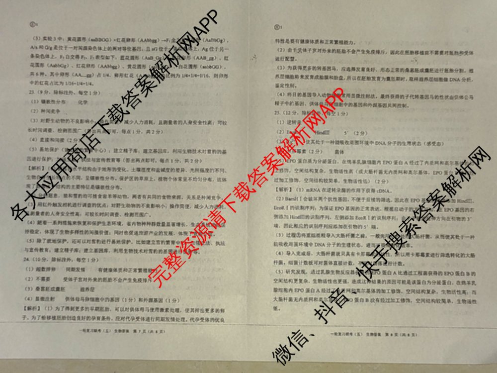 百师联盟2025届高三一轮复习联考(五)各科答案及试卷: 含地理(百S) 政治(百J) 政治(百S)试卷解析生物答案
