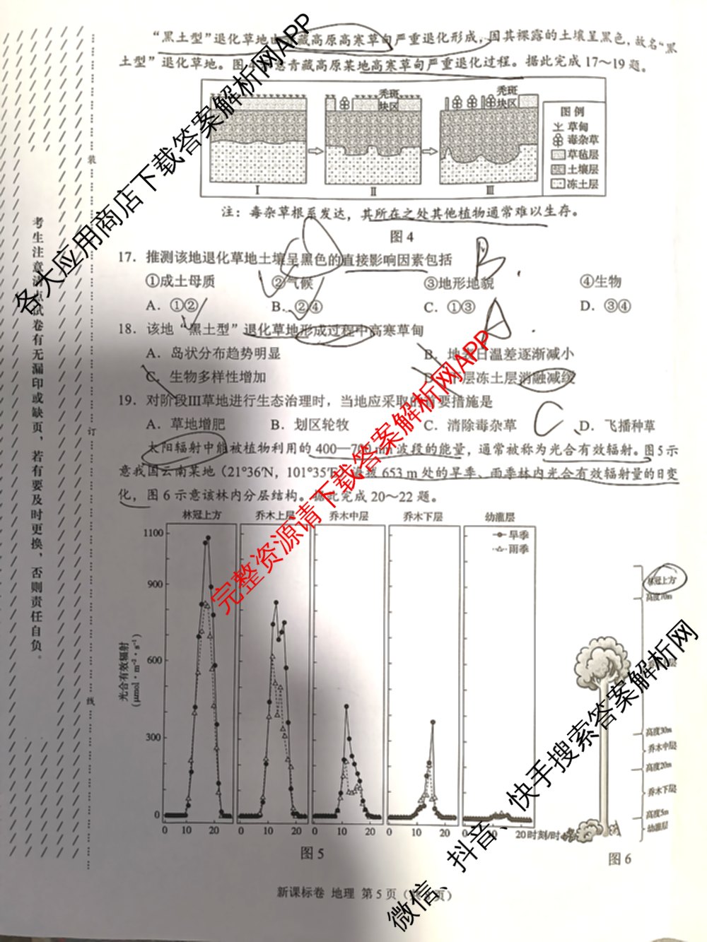 学科网2025届高三10月大联考各科答案及试卷（含历史(新课标卷) 语文(新课标卷) 语文(新高考卷)等17份）地理试题