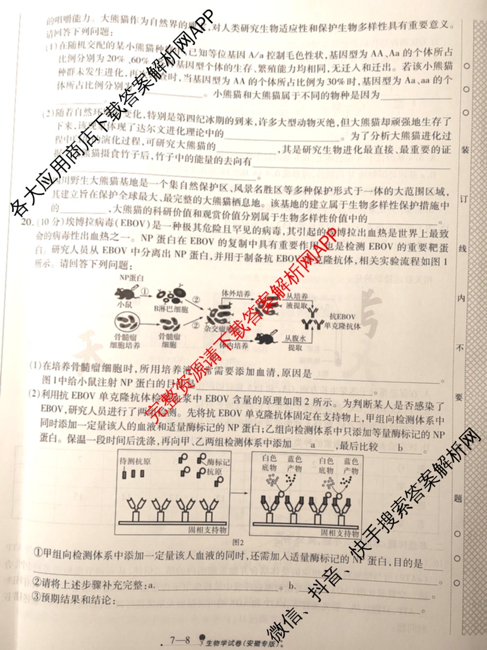 天一大联考2025届高考全真模拟卷(七)7试卷及答案汇总(已更新化学(河南专版) 历史(安徽专版) 历史(河南专版)等39份)生物试题