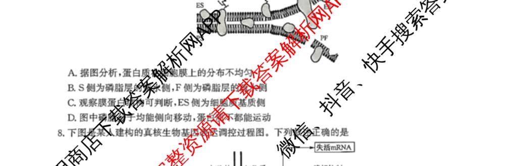 九师联盟2025~2026学年高三核心模拟卷(中)(五): 含政治(河南)、物理(HF)、英语试卷解析生物试题