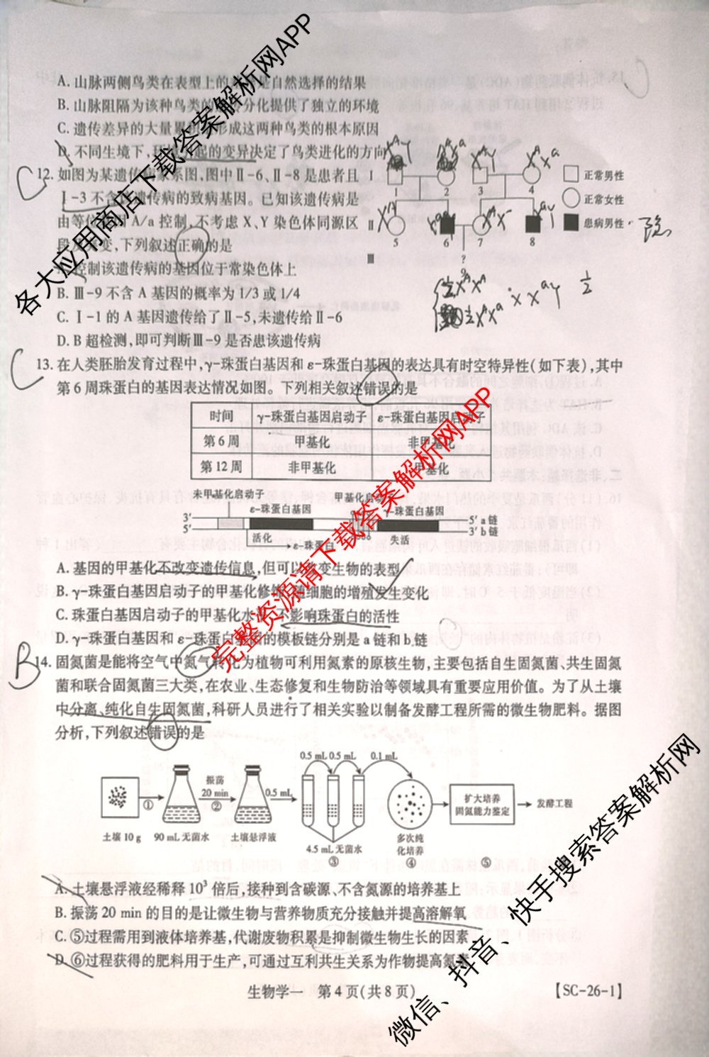 2026届智慧上进名校学术联盟高考模拟信息卷&冲刺卷&预测卷(一)1(已更新化学(I-26-1) 历史(26-1) 生物(II)等49份)生物试题