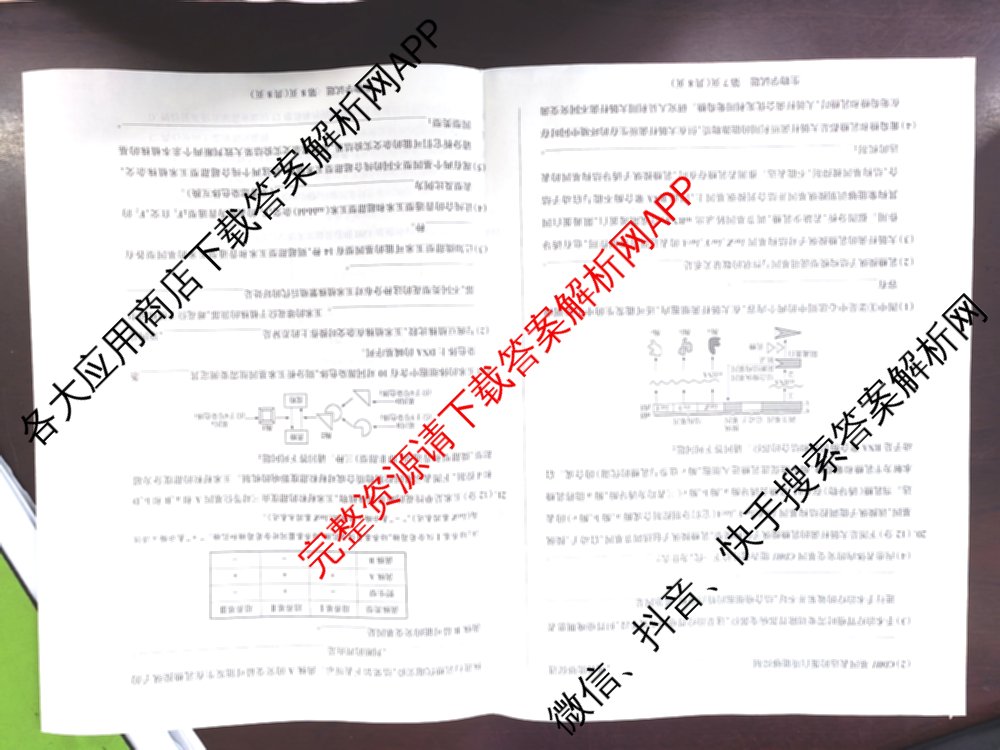  天一大联2024-2025学年高一年级阶段性测试(四)4各科答案及试卷（含数学(北师大版) 化学(鲁科版) 物理(宣城专版)等）生物试题