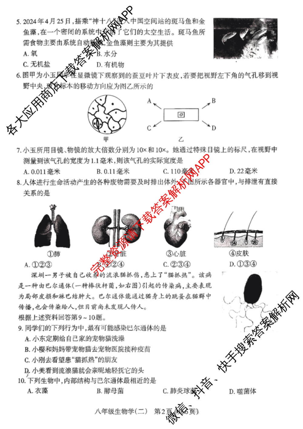 [太原二模]山西省太原市2024年初中学业水模拟考试(二)试卷及答案汇总（含历史、数学、理综等）生物试题