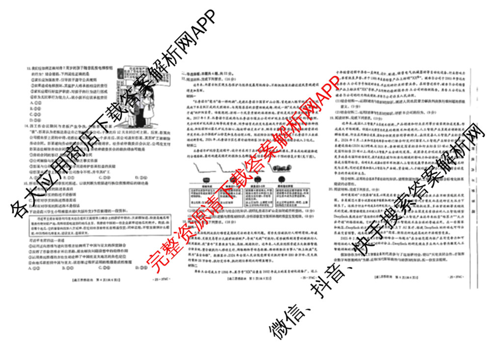 黔东南州2025届高三模拟统测(374C): 含政治 语文 英语试卷解析政治试题