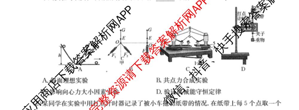 2026年全国高考冲刺押题训练(一)1: 含数学(N)、语文(N)、生物(D N)试卷解析物理试题