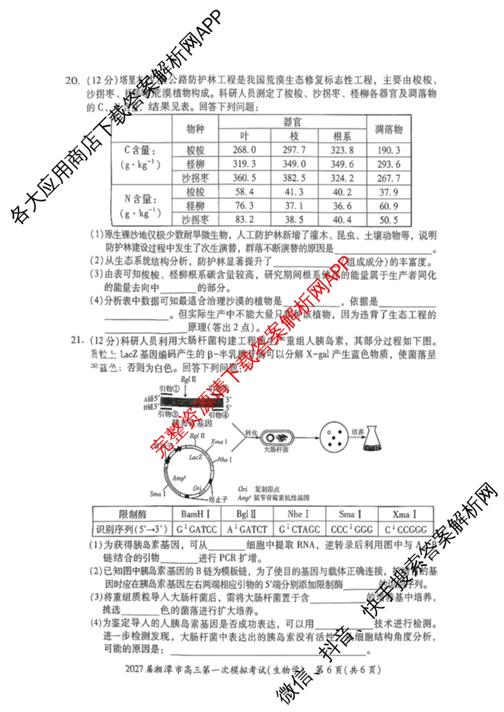 湖南省2027届湘潭市高三第一次模拟考试(8.29)各科答案及试卷（9科全）生物试题