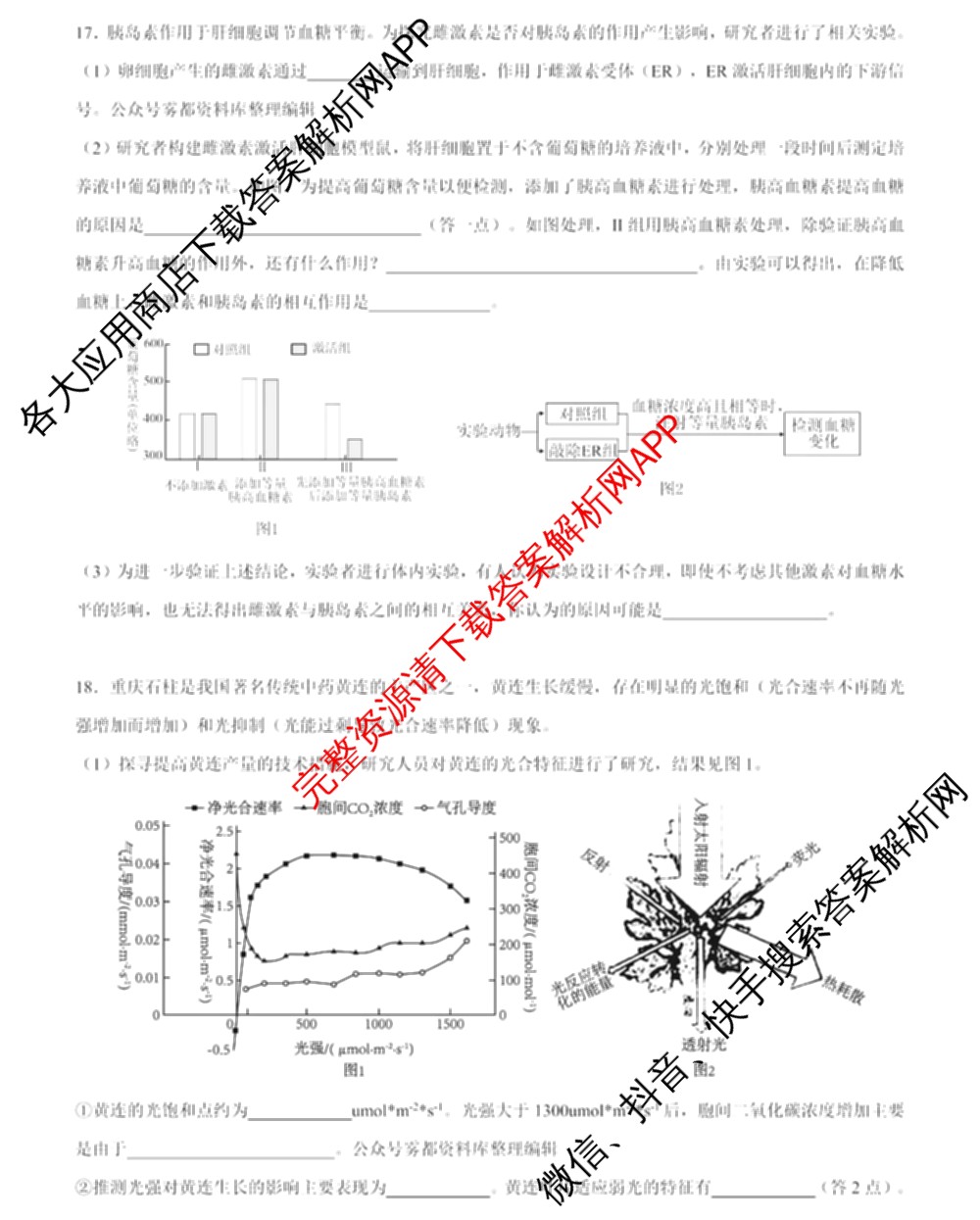 2024年高考真题(新高考)(已更新生物(山东卷) 数学(新课标II卷) 物理(河北卷)等108份)生物试题
