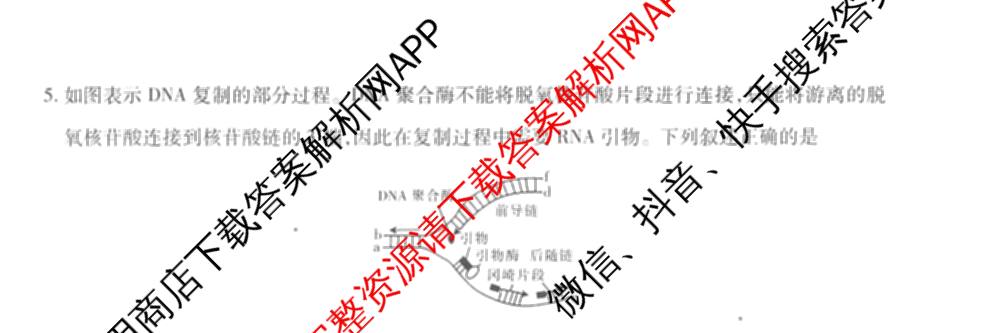 智慧上进2026届高三总复双向达标月考调研卷(六)6各科答案及试卷（含政治 数学(I) 英语(I)等）生物试题