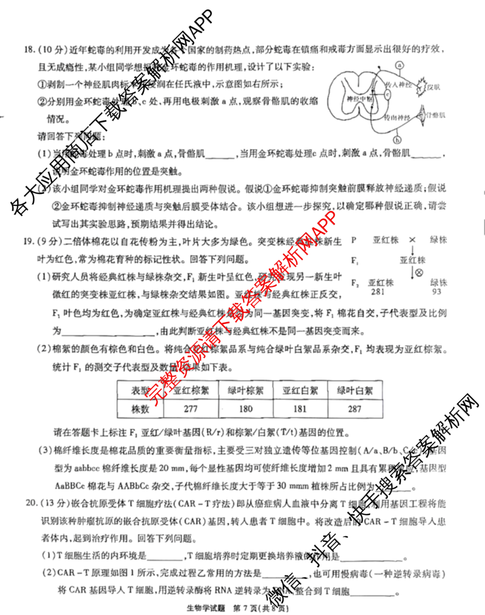 安徽省2026届高三9月六校联考各科答案及试卷（含物理 语文 生物等）生物试题