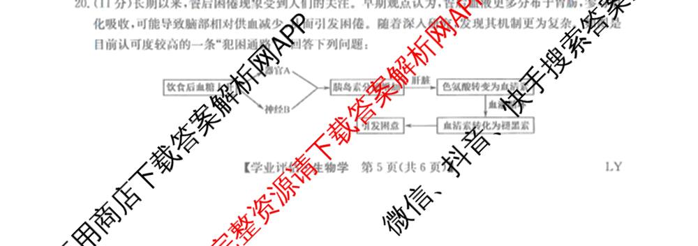 九师联盟2025-2026高三学业评估(4月)试卷及答案汇总（16科全）生物试题