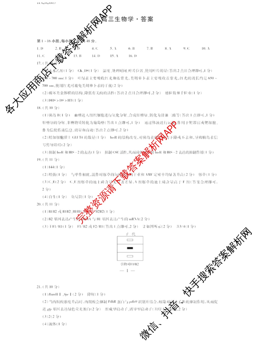 天一大联考河南省2025-2026学年高三3月联考(HN202603)（含化学、英语、生物等）生物答案