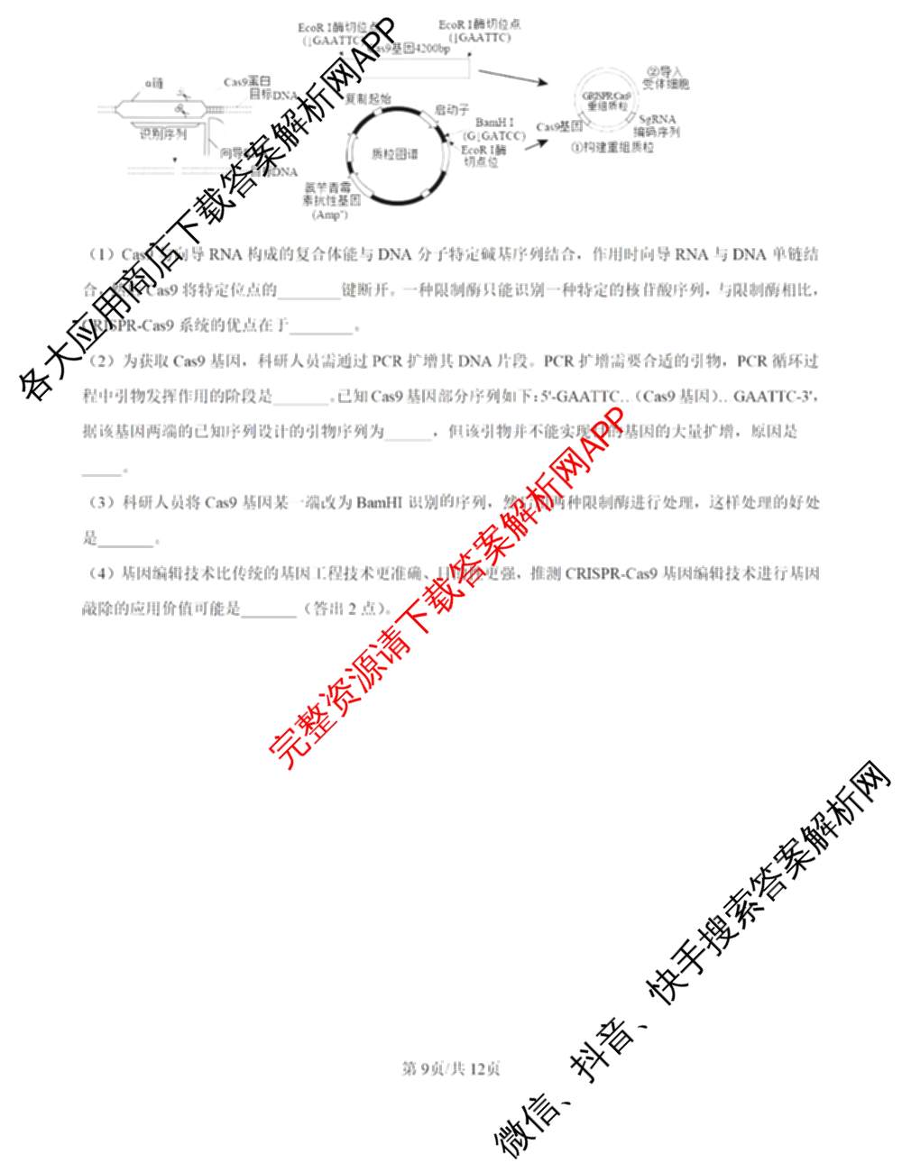 2025届鼎尖教育逐梦星辰杯实验班大联考(5月无标题)（含历史 地理 语文等）生物答案