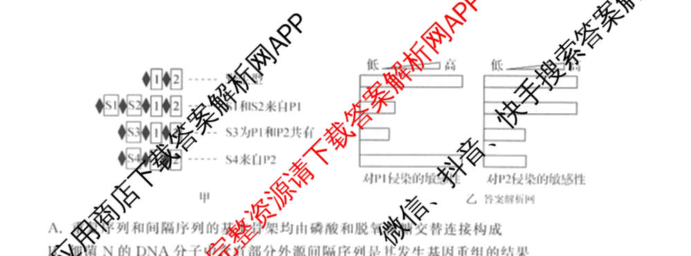 天舟高考衡中同卷2026年普通高等学校招生全国统一考试模拟信息卷(一)1各科答案及试卷（含化学(山东版) 历史(HJ) 生物(DS)等）生物试题