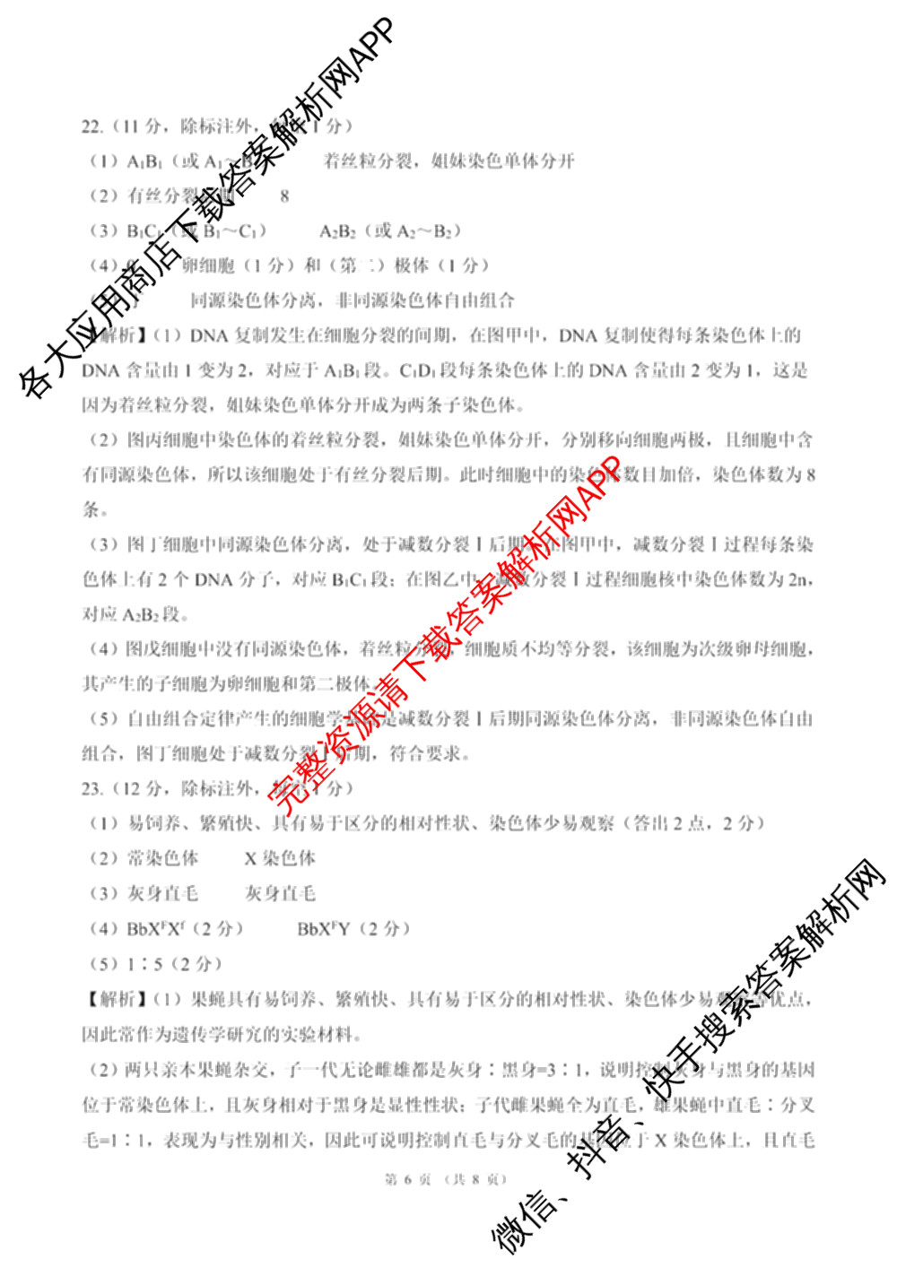 百师联盟2025-2026学年高一下学期阶段测试卷(二)2试卷及答案汇总: 含化学(75分钟)、化学(苏教版75min)、生物(90分钟)试卷解析生物答案