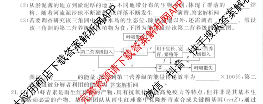 2026届名校大联盟高三月考卷(七)7试卷及答案汇总: 含数学 化学 历史试卷解析生物试题