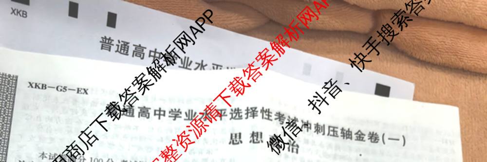 XKB2025届普通高等学校招生全国统一考试冲刺压轴金卷(一)1（含物理(XKB-G10-EX) 英语(XKB-G1-EX) 化学(XKB-G1-H-EX)等）政治试题