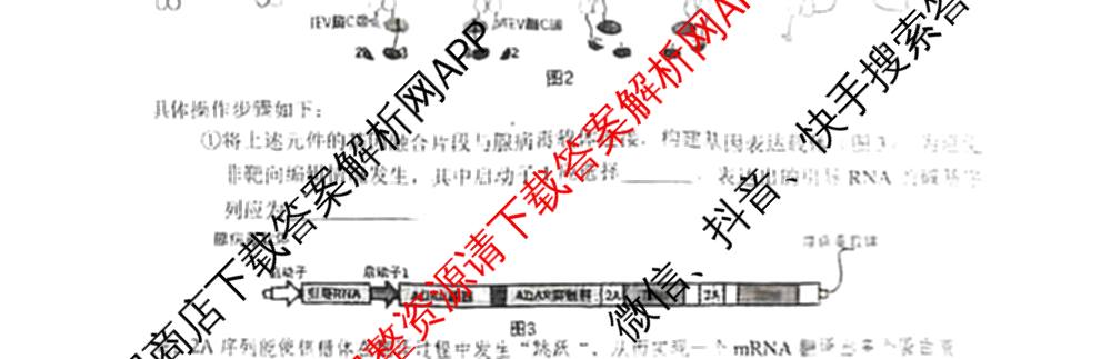 湖北省新八校协作体2025届高三5月联考(5.3)各科答案及试卷: 含历史 物理 英语试卷解析生物试题