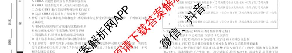 天一大联考湖南省2026届高三9月考试(无标题)各科答案及试卷（11科全）生物试题