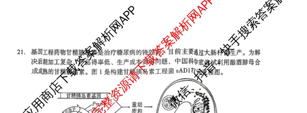 湖南省邵阳市2027届高三第一次联考试题卷(9.10)各科答案及试卷（含化学 政治 数学等9份）生物试题