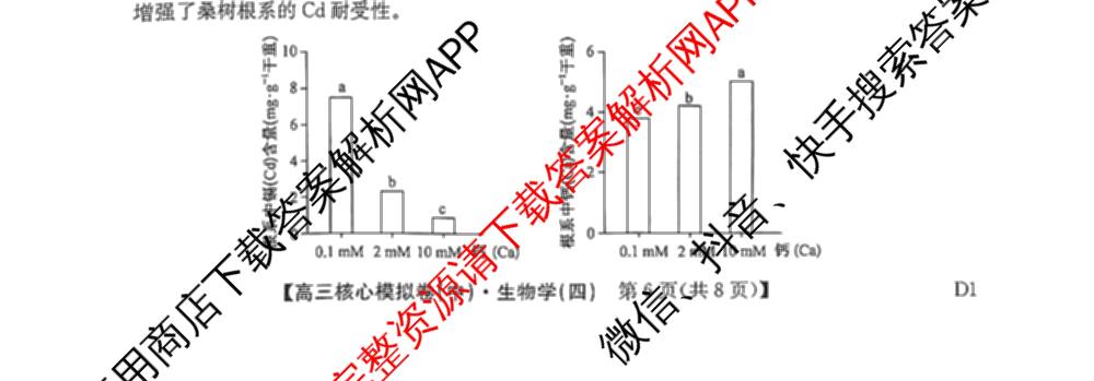 九师联盟2025~2026学年高三核心模拟卷(中)(四)试卷及答案汇总（36科全）生物试题