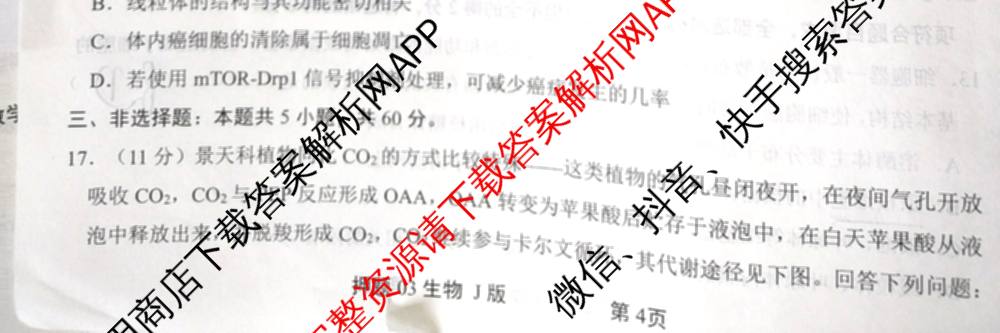 2025届押题03各科答案及试卷（含英语(新)、化学(H版)、物理(P版)等）生物试题