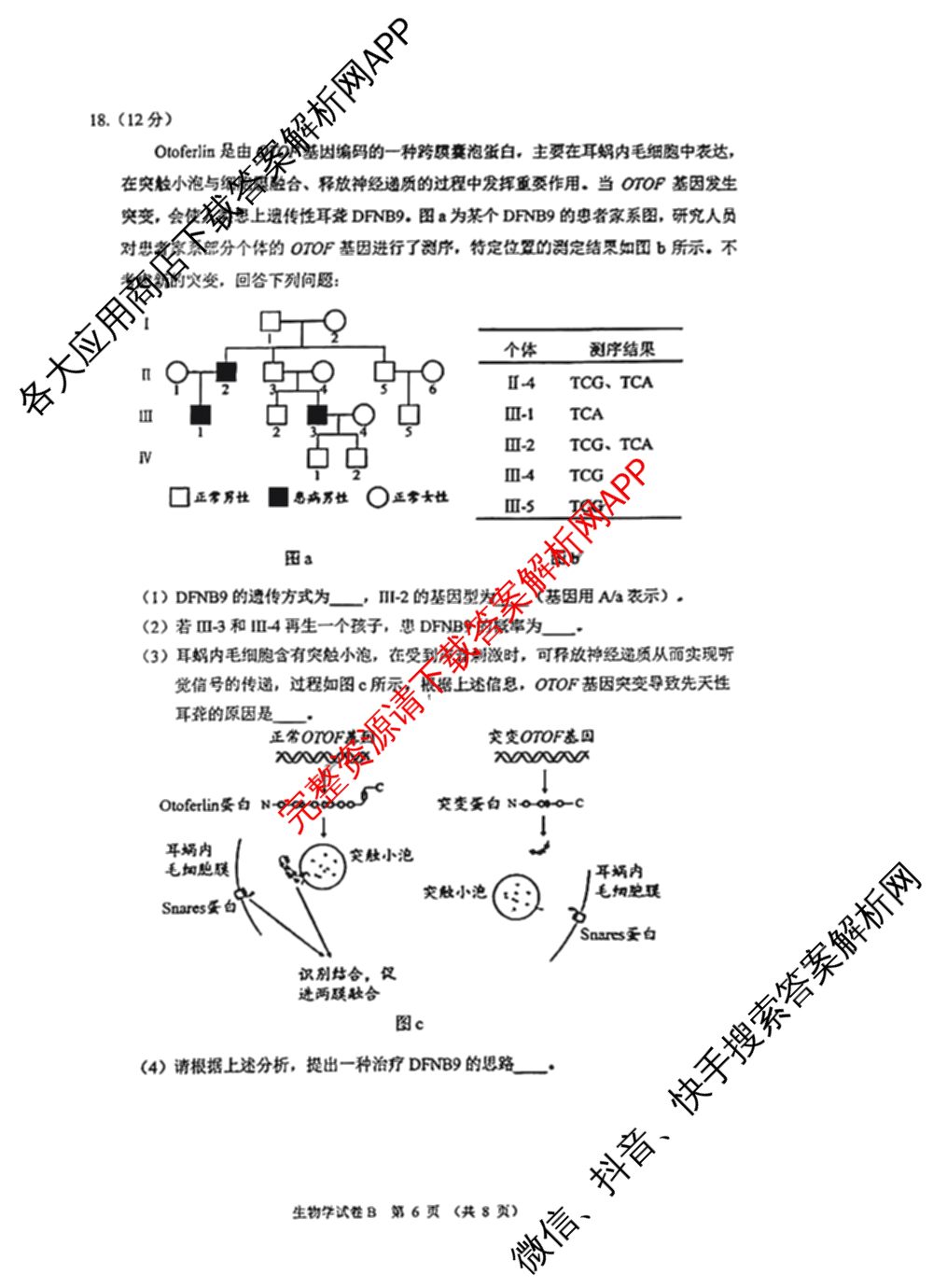 ［广州零诊］2025届广州市高三年级调研测试试卷及答案汇总（含地理(B) 物理(B) 生物(B)等10份）生物试题