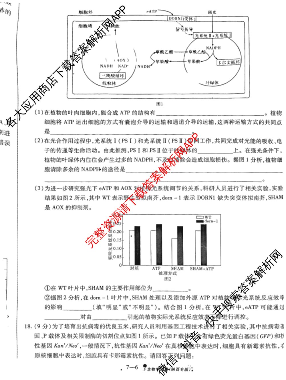 天一大联考2025届高考全真模拟卷(七)7试卷及答案汇总(已更新化学(河南专版) 历史(安徽专版) 历史(河南专版)等39份)生物试题