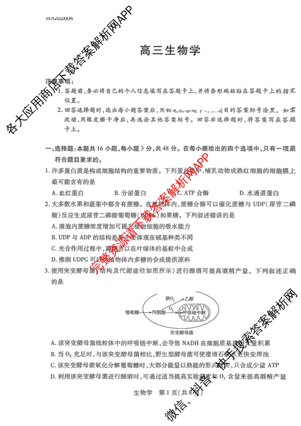 天一大联考2025-2026学年高三4月联考(HN202604)(4.7)试卷及答案汇总（含数学、化学、地理等）生物试题