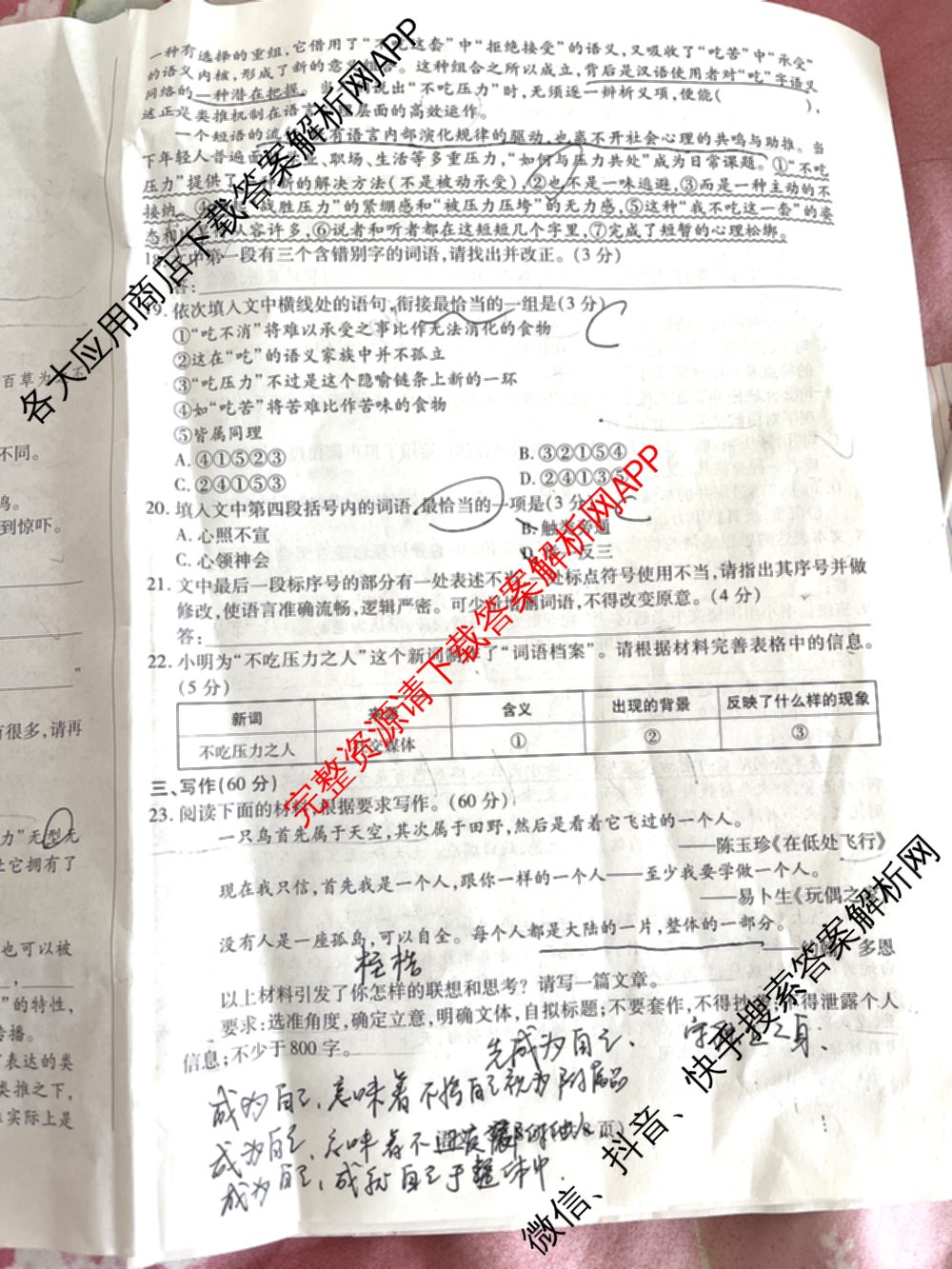 天一大联考安徽省2027届高三9月(标题：高三9月科目): 含生物、日语、语文试卷解析语文试题