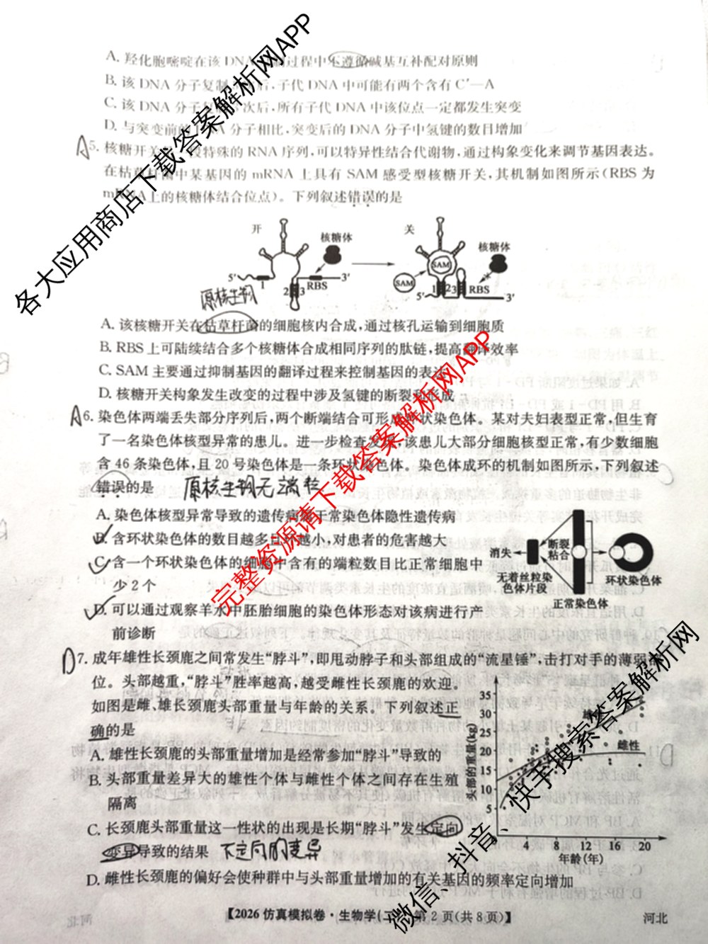 2026年普通高等学校招生全国统一考试仿真模拟卷(二)2（含生物(F2)、物理(F1)、政治(F2)等）生物试题