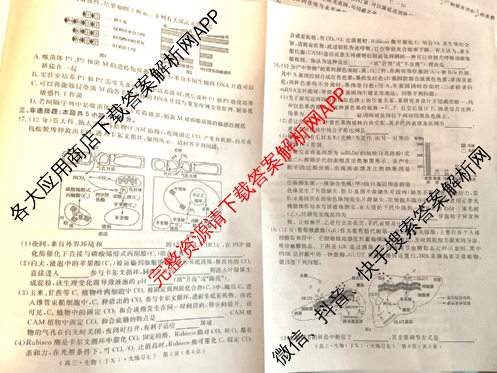 黄冈八模2026届高三大练(七)7（含历史(SD)、地理、物理(JX)等）生物试题