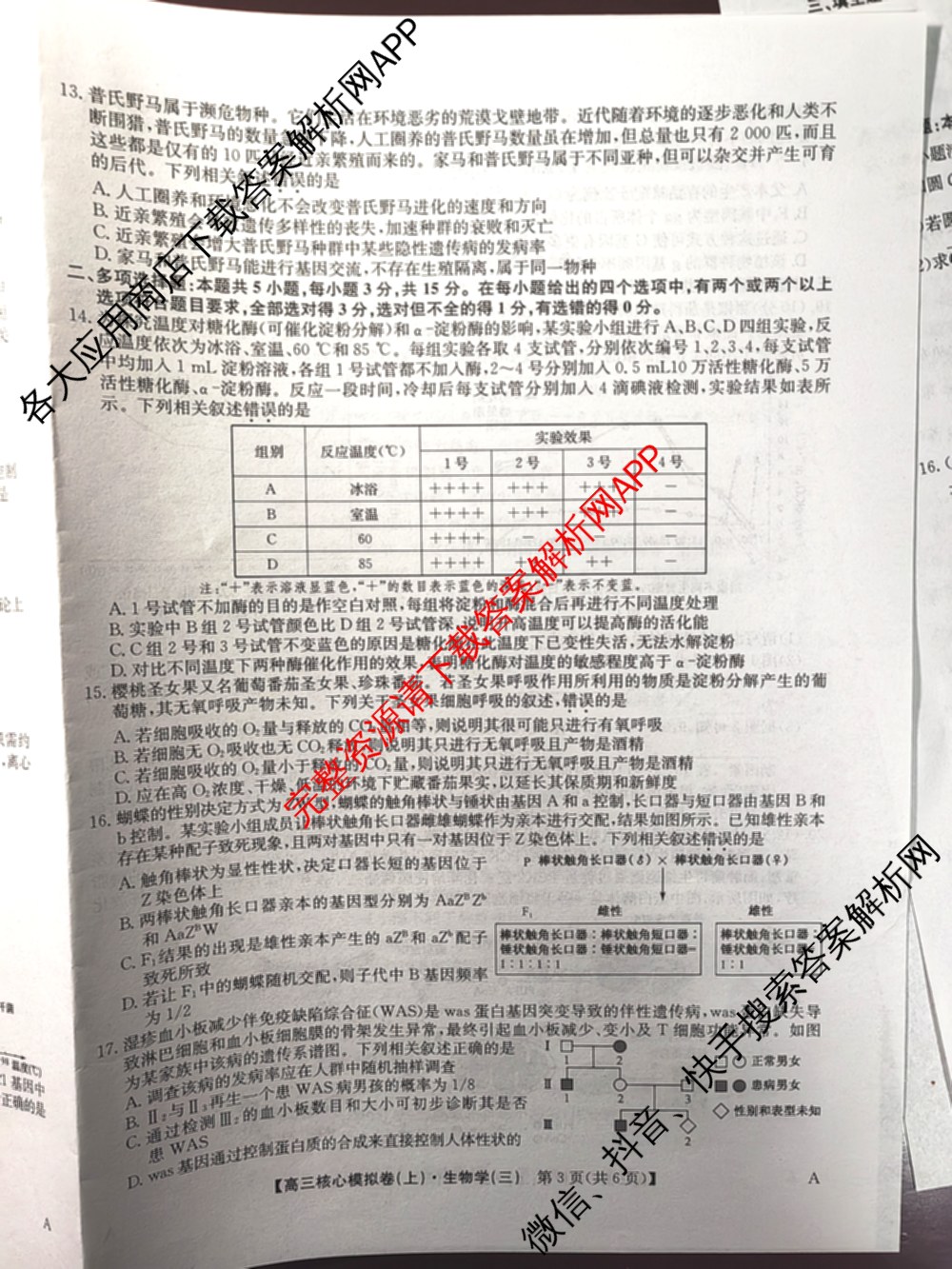 九师联盟2024~2025学年高三核心模拟卷(上)(三)3试卷及答案汇总: 含政治(A)、物理(HF)、语文试卷解析生物试题