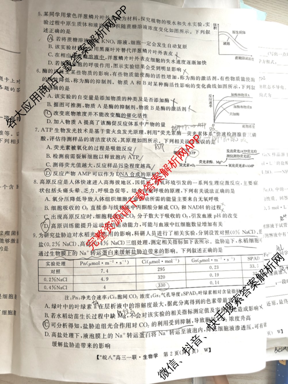 2026届皖南八校高三第一次联考（含历史(W) 地理(W) 英语(W)等）生物试题
