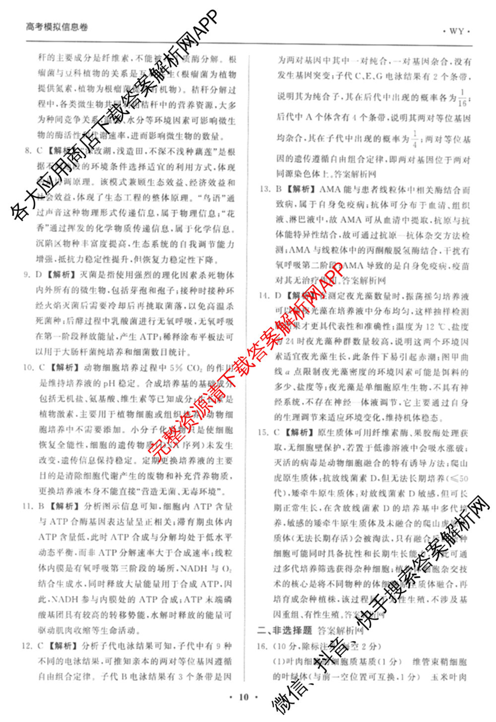 天舟高考衡中同卷2026年普通高等学校招生全国统一考试模拟信息卷(三)3试卷及答案汇总（含历史(GY) 物理(安徽版) 英语(通用版)等）生物答案