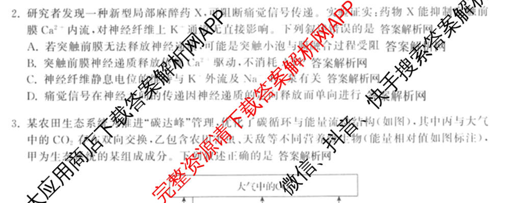 天舟高考衡中同卷2026年普通高等学校招生全国统一考试模拟信息卷(六)6试卷及答案汇总（含化学(山东版) 数学(无字母) 文综(新疆版)等）理综试题