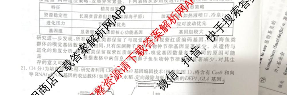 厚德诚品2025普通高等学校招生统一考试压轴卷(一)1各科答案及试卷（含历史(HN) 地理(HN) 语文(HN)等9份）生物试题