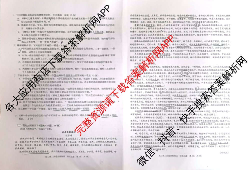 南宁三中2025届毕业班五月第二次适应性测试(2025.05)(已更新化学 历史 物理等9份)语文试题