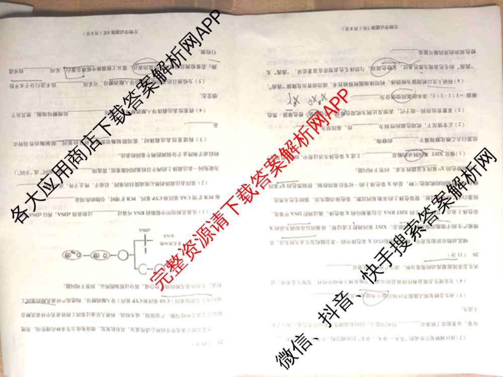 甘肃省2026年兰州市高三模拟考试(3月)（含化学、生物、语文等）生物试题