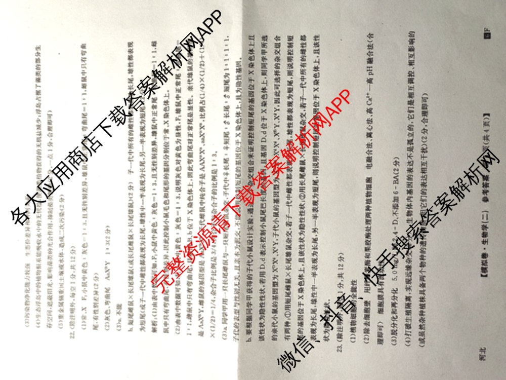 2026年普通高等学校招生全国统一考试仿真模拟卷(二)2（含生物(F2)、物理(F1)、政治(F2)等）生物答案