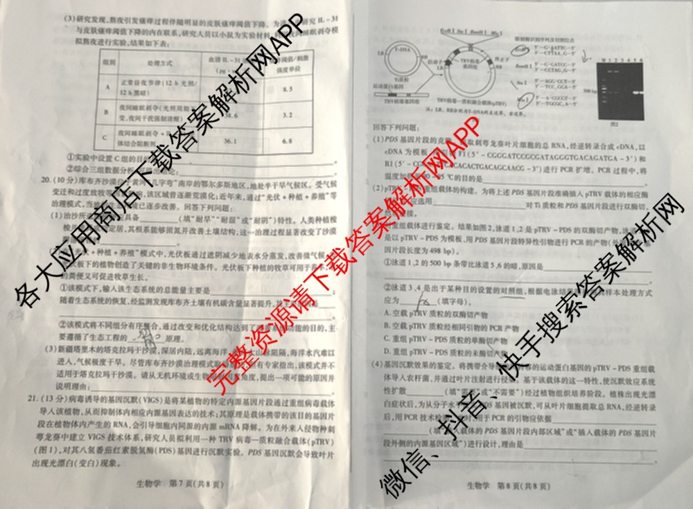 天一大联考2025-2026学年高三3月联考(SHX202603)试卷及答案汇总(已更新生物、物理、地理等9份)生物试题