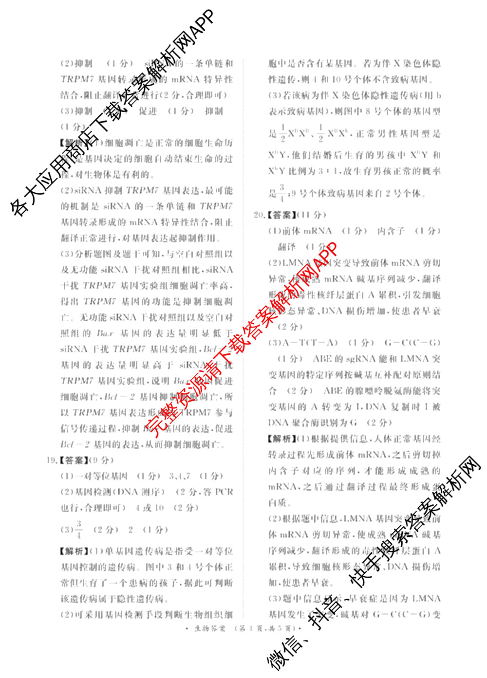 青桐鸣2025届普通高等学校招生全国统一考试青桐鸣大联考(高三)(11月)试卷及答案汇总（含语文、地理、物理等11份）生物答案