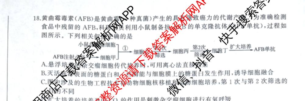 河北省2025-2026学年第一学期高三年级检测题各科答案及试卷（含生物 历史 英语等）生物试题