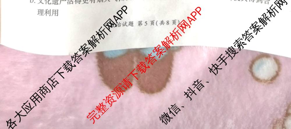 百师联盟2025届高三信息押题卷(四)4试卷及答案汇总（51科全）政治试题