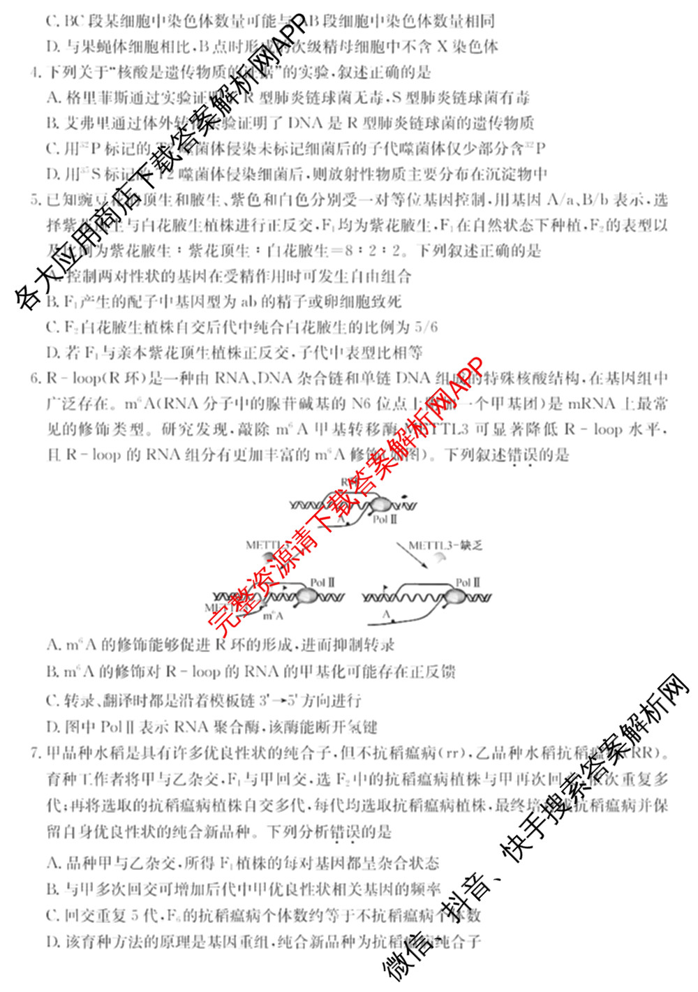 河北省廊坊一中2027届高三上学期开学考试各科答案及试卷（9科全）生物试题