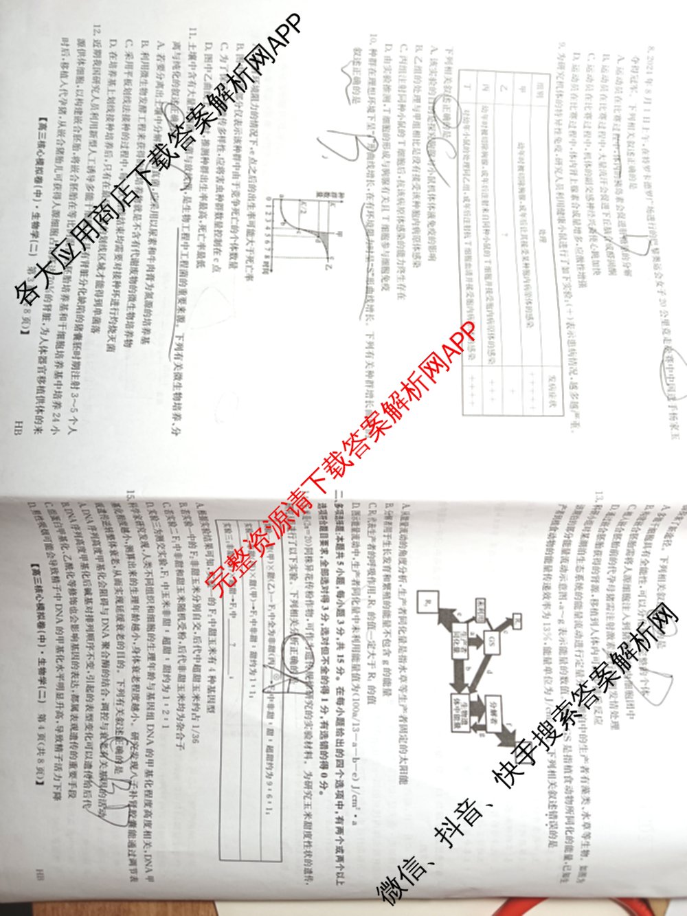 九师联盟2024~2025学年高三核心模拟卷(中)(二)2（含历史 地理(D4) 数学等29份）生物试题