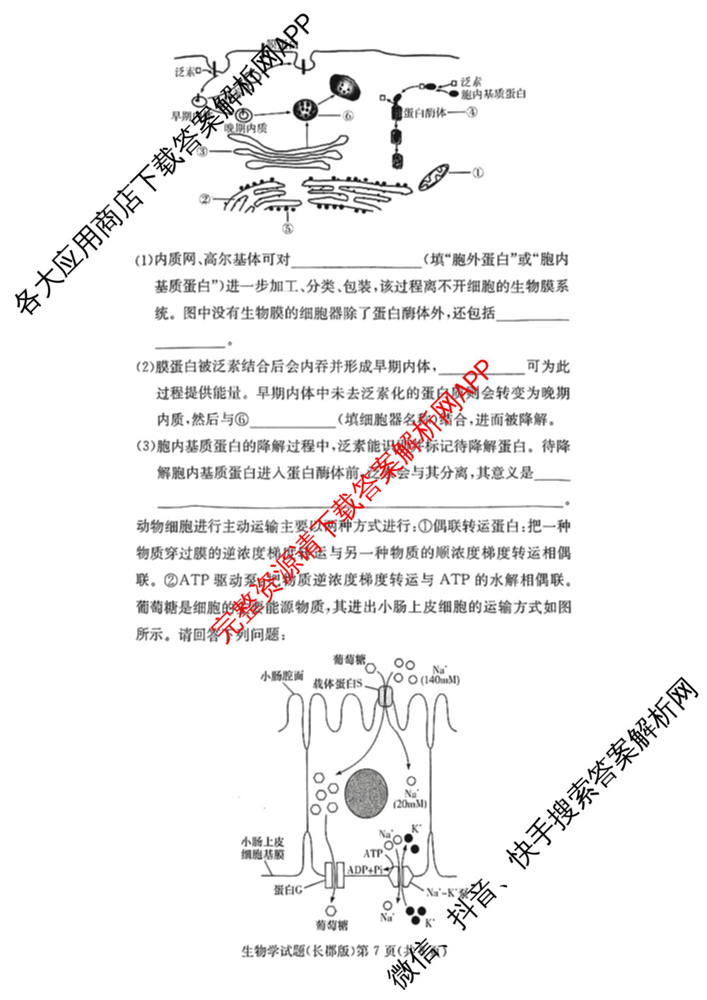 长郡中学2024年下学期高一期末考试（含物理 地理 英语等9份）生物试题