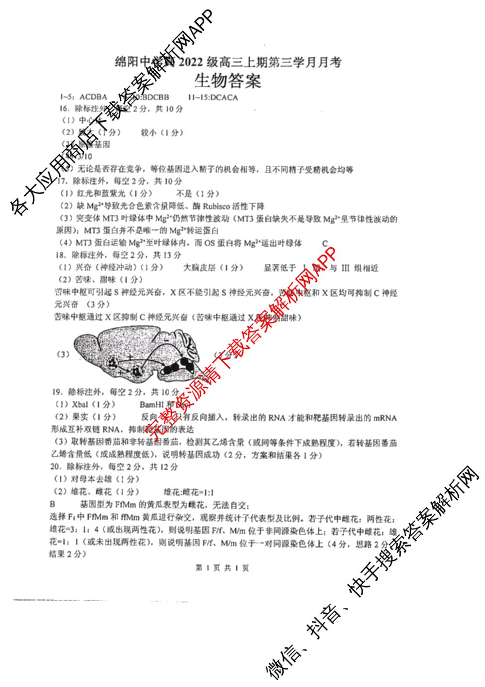 绵阳中学高2022级高三上期第三学月月考试卷及答案汇总（9科全）生物答案