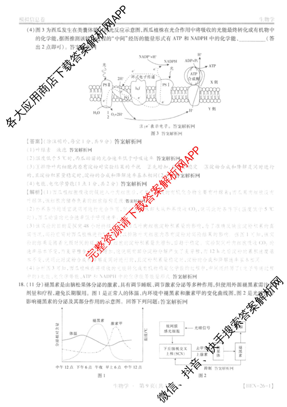 2026届智慧上进名校学术联盟高考模拟信息卷&冲刺卷&预测卷(一)1(已更新化学(I-26-1) 历史(26-1) 生物(II)等49份)生物答案