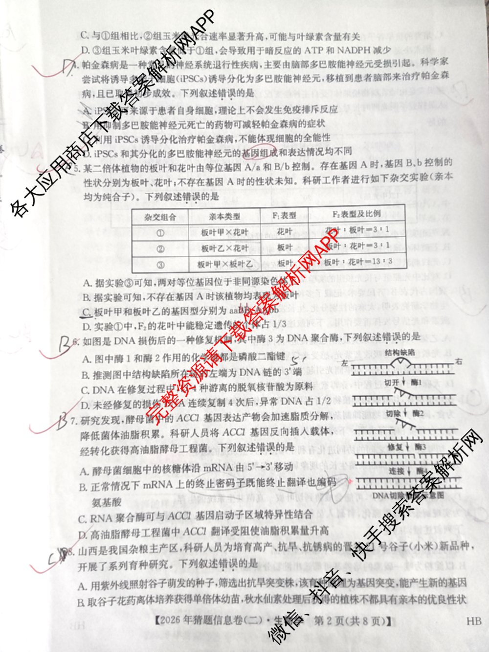 2026年普通高等学校招生全国统一考试猜题信息卷(二)2（含政治(B2)、化学(B2)、物理(B3)等）生物试题